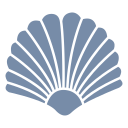 collectibleshells.com domain
