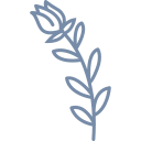 tiia.fr domain