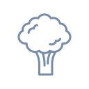 veggeys.com domain