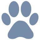 zoown.com domain